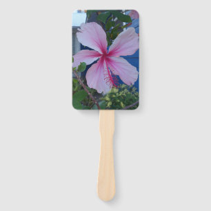 Pink hibiscus flower and blue beach cottage fan