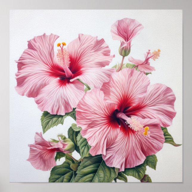 Pink Hibiscus Flower Art Print Poster (Front)