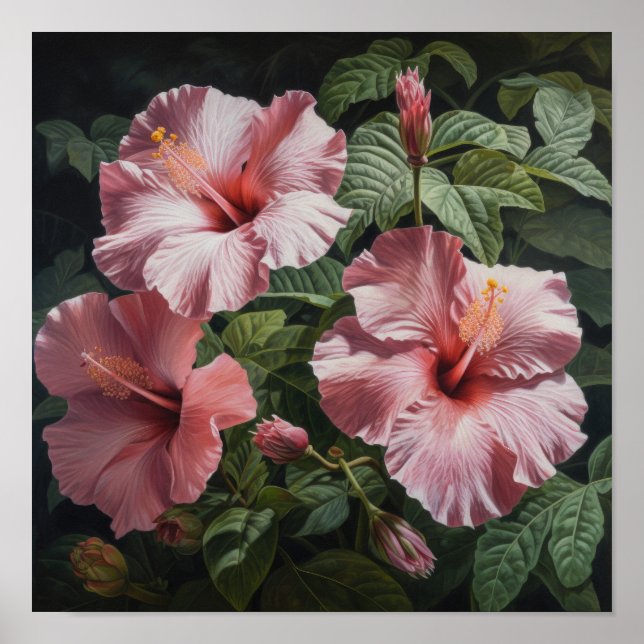 Pink Hibiscus Flower Art Print Poster (Front)