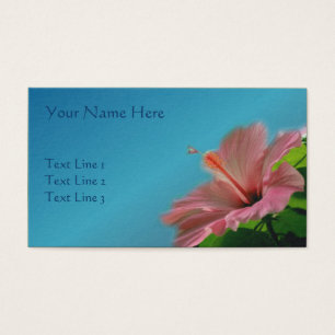 Pink Hibiscus Flower Nature