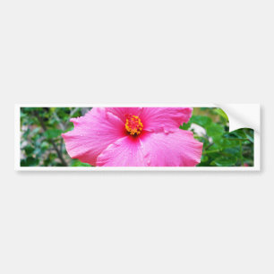 Pink Hibiscus Flower Rain Sprinkles, Bumper Sticker
