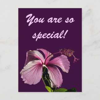 Pink Hibiscus Flower Side View Postcard