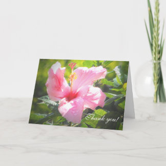 Pink Hibiscus Flower Thank You Card