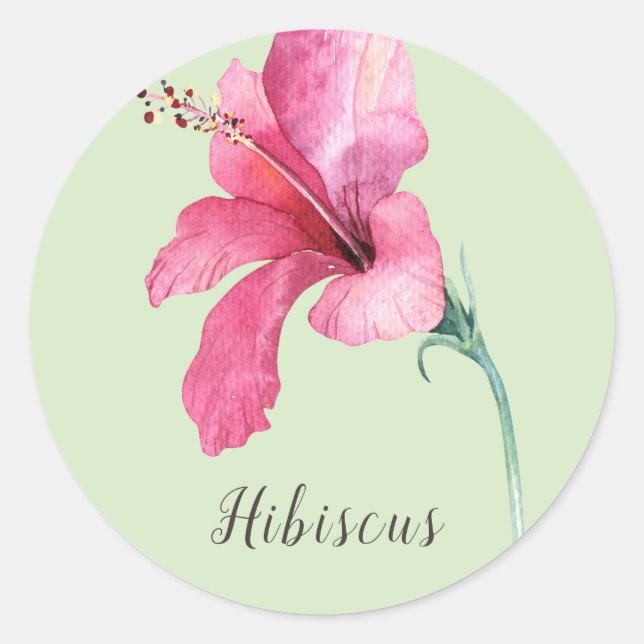 Pink Hibiscus Flower Watercolor Classic Round Sticker (Front)