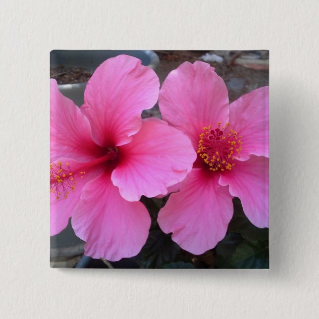 Pink Hibiscus Flowers 15 Cm Square Badge (Front)