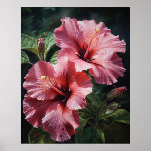 Pink Hibiscus Flowers Art Print Poster
