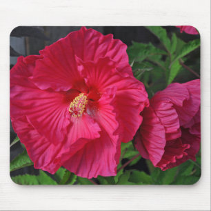 Pink hibiscus flowers mouse pad