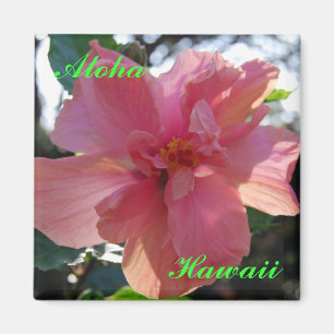 Pink Hibiscus in Hawaii Magnet