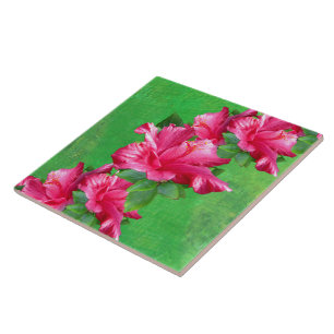 Pink Hibiscus Lei Tile