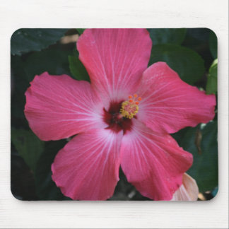 pink hibiscus mouse pad