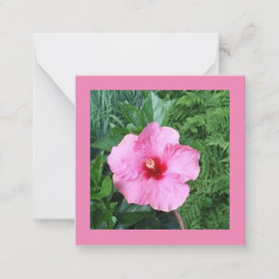 Pink Hibiscus Note Card