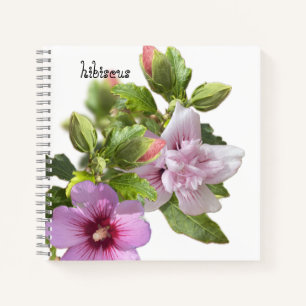 Pink hibiscus notebook