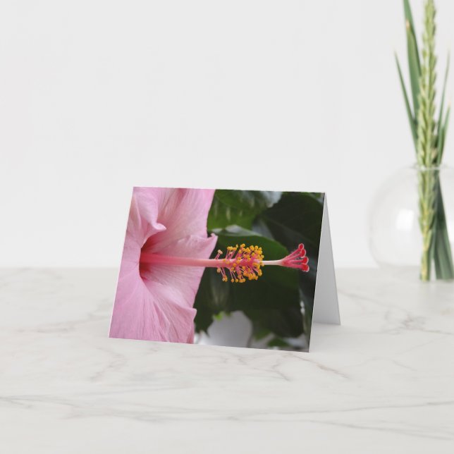 Pink Hibiscus Notecard (Front)