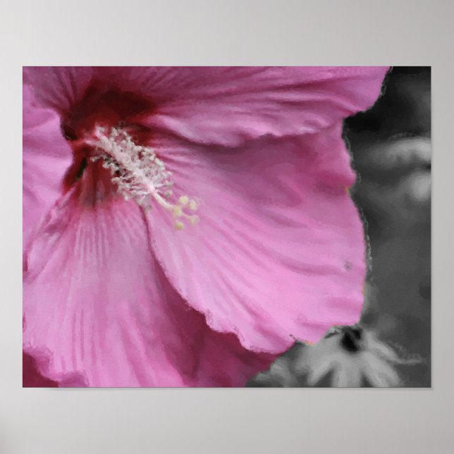 Pink Hibiscus Partial Colour Flower Art Poster (Front)