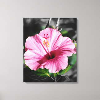 Pink Hibiscus Photo Canvas Print