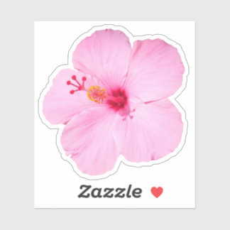 Pink Hibiscus Tropical Flower