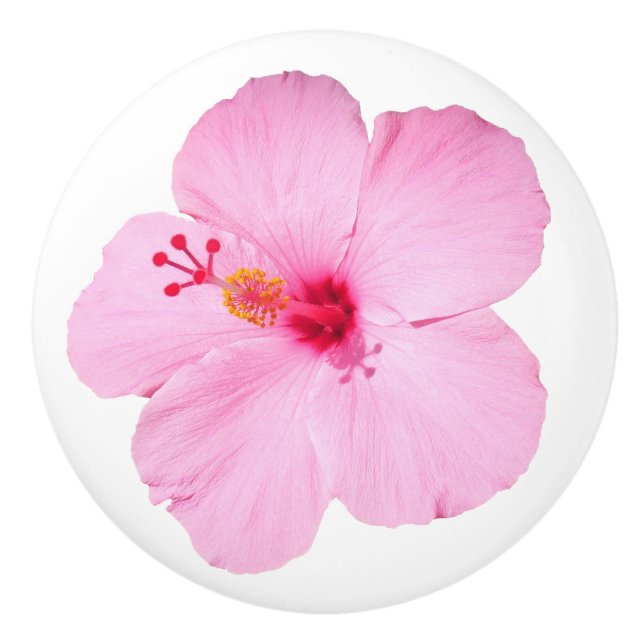Pink Hibiscus Tropical Flower Ceramic Knob (Front)