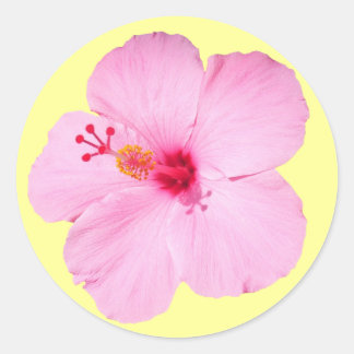 Pink Hibiscus Tropical Flower Classic Round Sticker