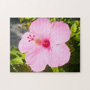 Pink Hibiscus Tropical Flower Jigsaw Puzzle