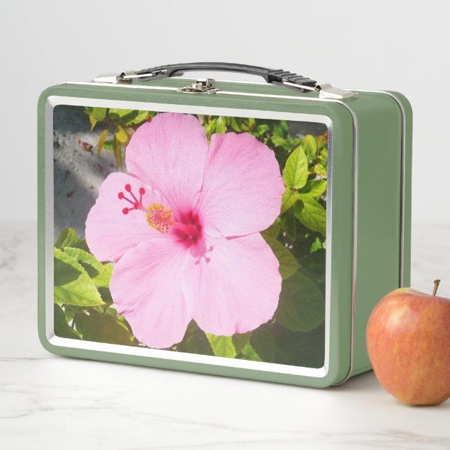 Pink Hibiscus Tropical Flower Metal Lunch Box (In Situ)
