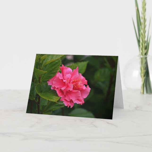 Pink Hibiscus Tropical Flower Note Card (Front)