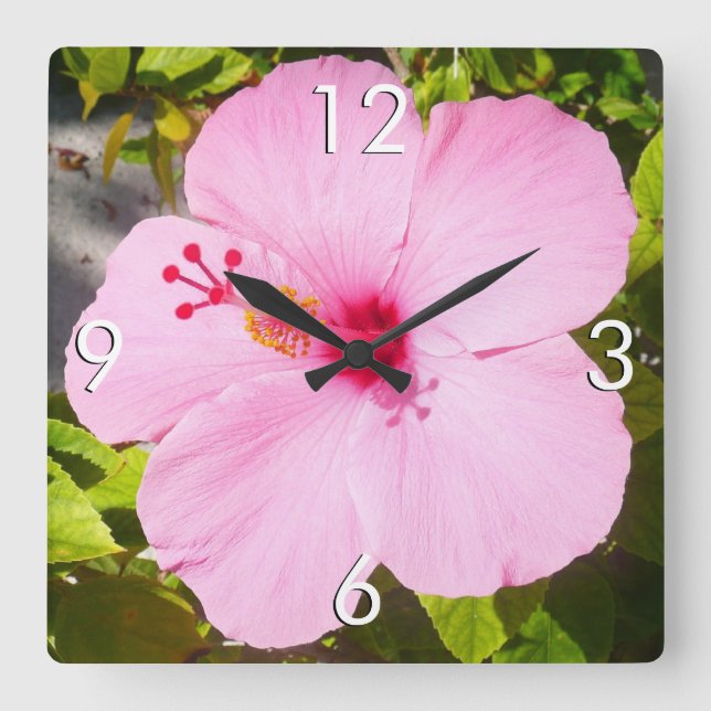 Pink Hibiscus Tropical Flower Square Wall Clock (Front)