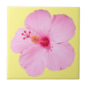 Pink Hibiscus Tropical Flower Tile