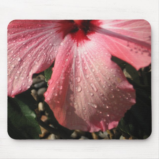 Pink Hibiscus Water Drops Mouse Pad (Front)