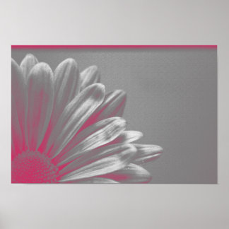Pink Highlighted Flower Poster