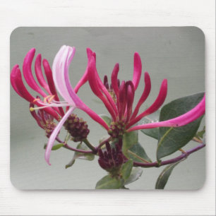 Pink Honeysuckle Flower Mousepad