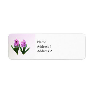 Pink Hyacinth Duo