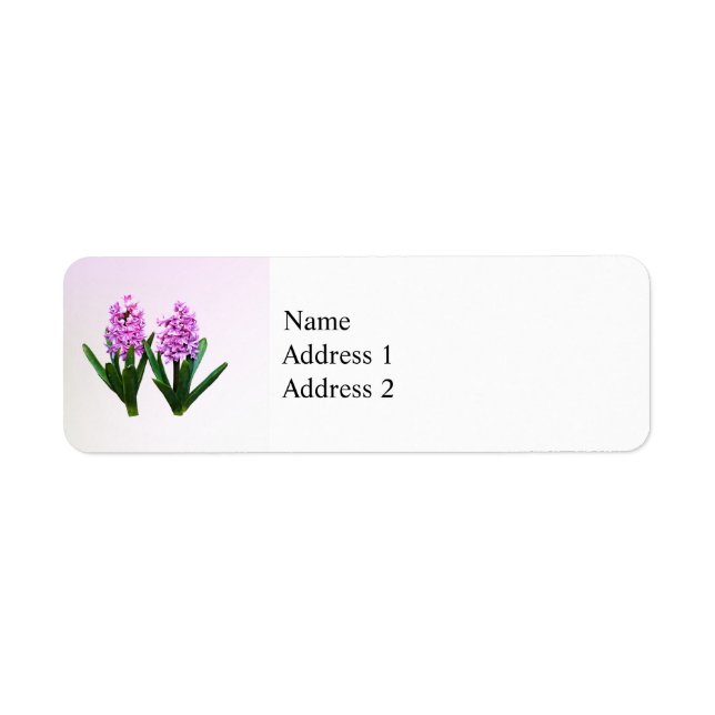 Pink Hyacinth Duo (Front)