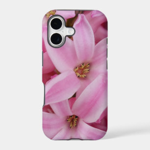pink hyacinth flower
