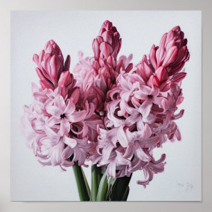 Pink Hyacinth Flower Art Print Poster