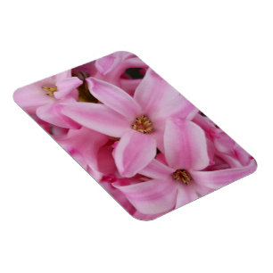 pink hyacinth flower magnet