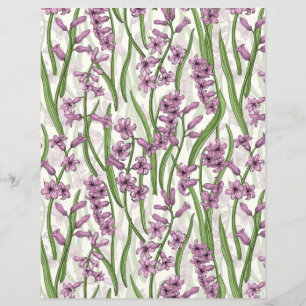 Pink Hyacinth flowers on natural white