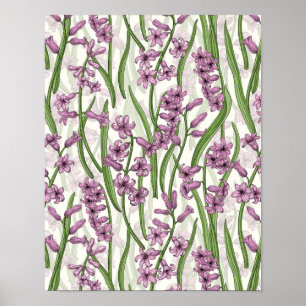 Pink Hyacinth flowers on natural white Poster