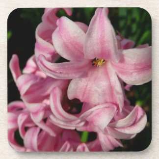 Pink Hyacinth Spring Floral Coaster