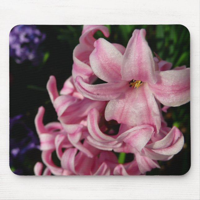 Pink Hyacinth Spring Floral Mouse Pad (Front)