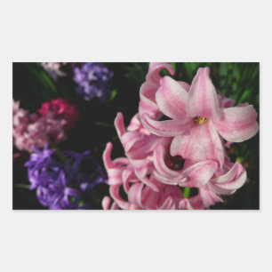 Pink Hyacinth Spring Floral Rectangular Sticker