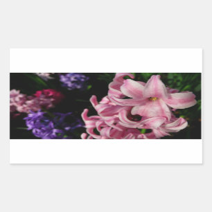 Pink Hyacinth Spring Floral Rectangular Sticker