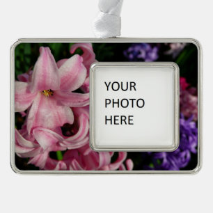 Pink Hyacinth Spring Floral Silver Plated Framed Ornament