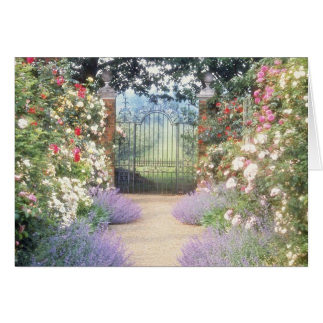 Pink Hybrid Rose-Lined Path To Gate, Underplanted (Front Horizontal)