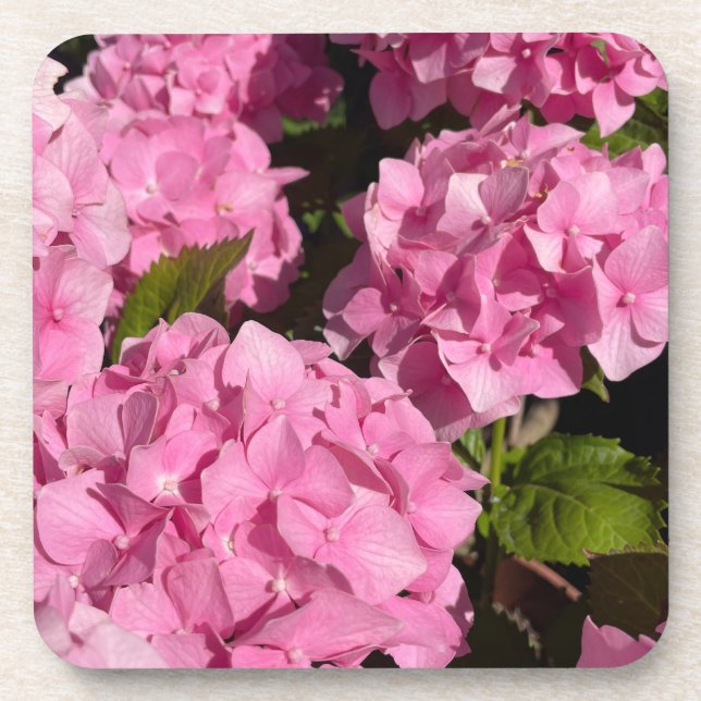  Pink Hydrangea Coaster (Front)