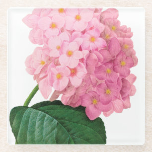 Pink Hydrangea Flower Glass Coaster