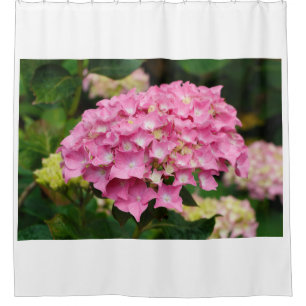 Pink hydrangea flowers in a garden shower curtain