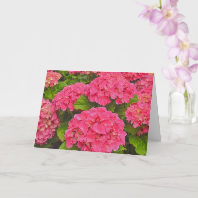 Pink Hydrangea Garden Flower Art Card (Orchid)