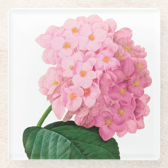 Pink Hydrangea Glass Coaster (Front)