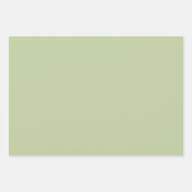 Pink hydrangea, green & pink wrapping sheets (Front 3)