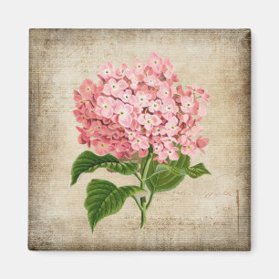 Pink Hydrangea Magnet